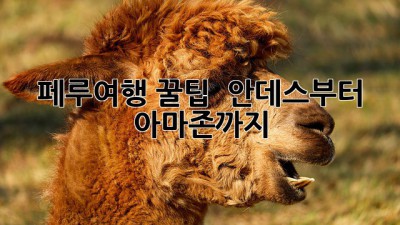 페루여행 꿀팁 🎒 안데스부터 아마존까지!