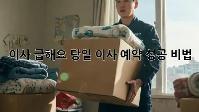 이사, 급해요! 당일 이사 예약 성공 비법