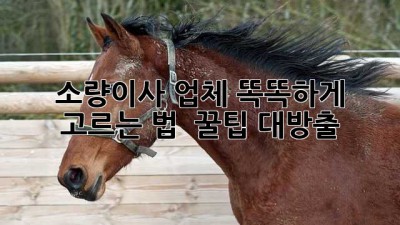 소량이사 업체 똑똑하게 고르는 법 🚚📦✨ (꿀팁 대방출!)